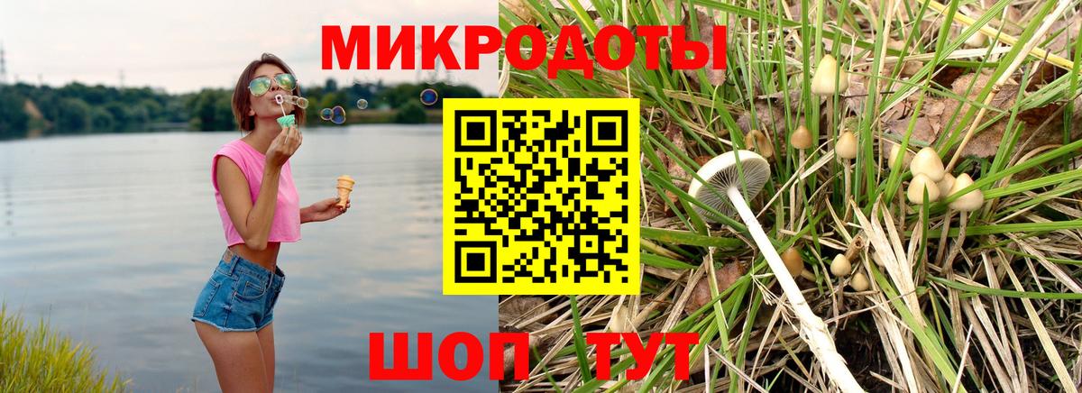 Галлюциногенные грибы Psilocybe  Вход с VPN  Удомля 
