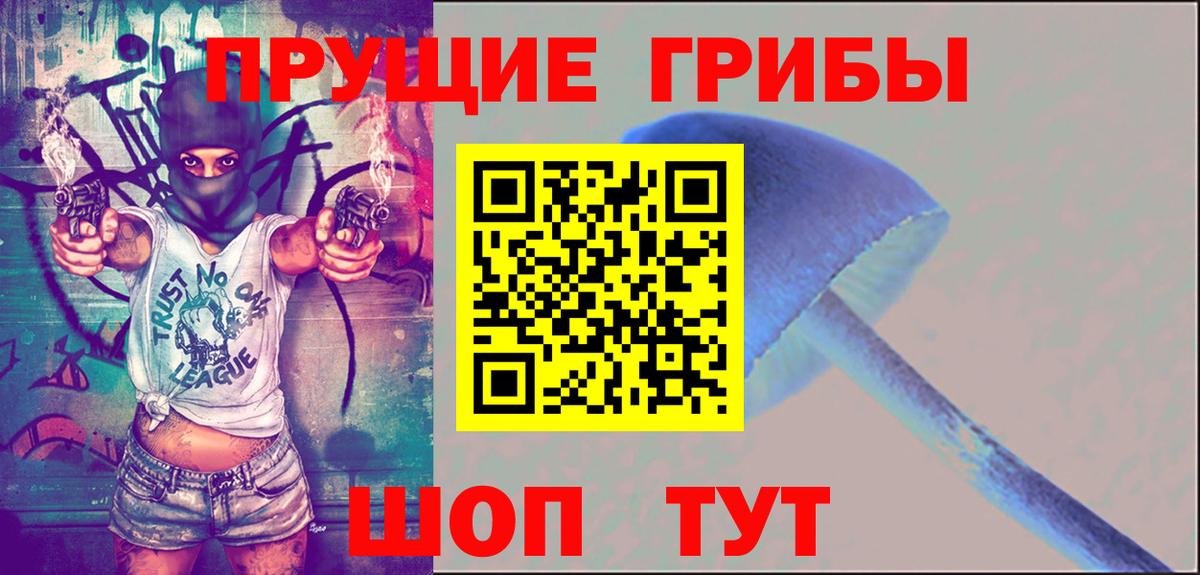 Псилоцибиновые грибы Psilocybine cubensis Удомля